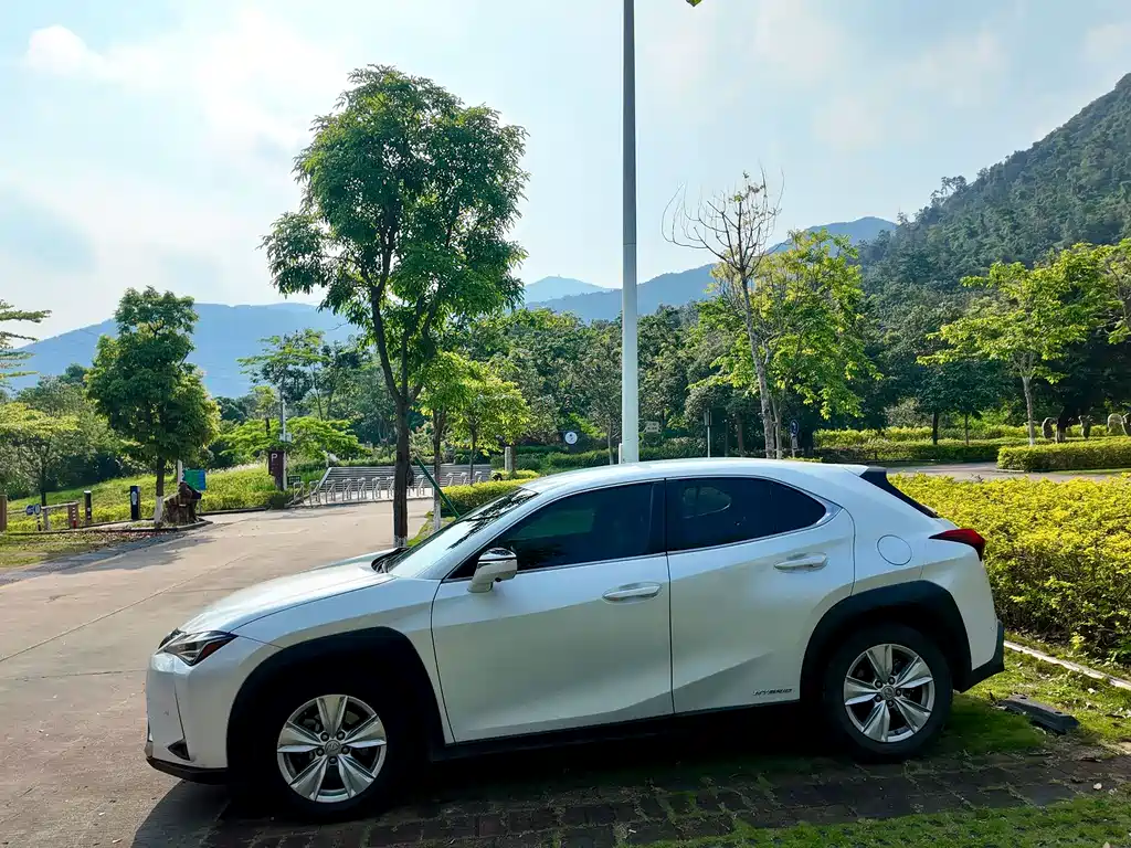 Lexus UX 雷克萨斯UX 2019款 260 h 探·酷版 国V