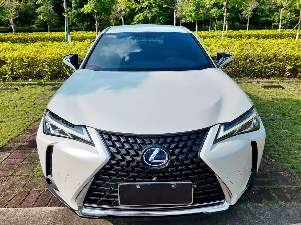 Lexus UX 雷克萨斯UX 2019款 260 h 探·酷版 国V