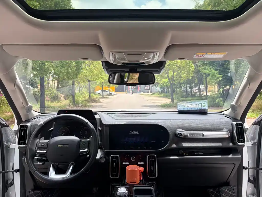 Haval Dargo 2.0 T DCT 4 WD Howling Dog