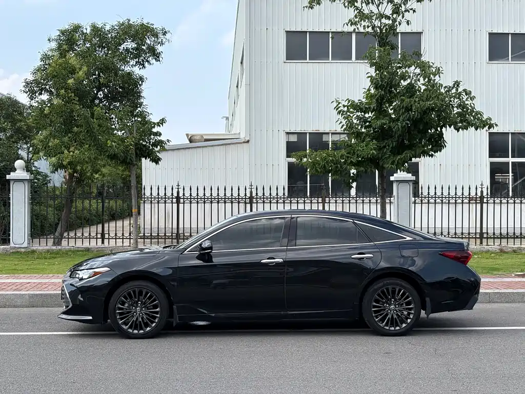 Avalon 2.0 L XLE Premium CN-VI
