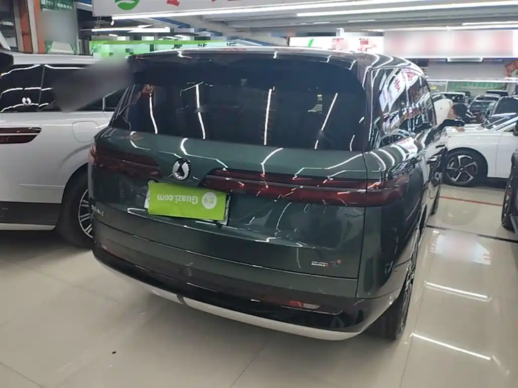 Denza N9 Flagship