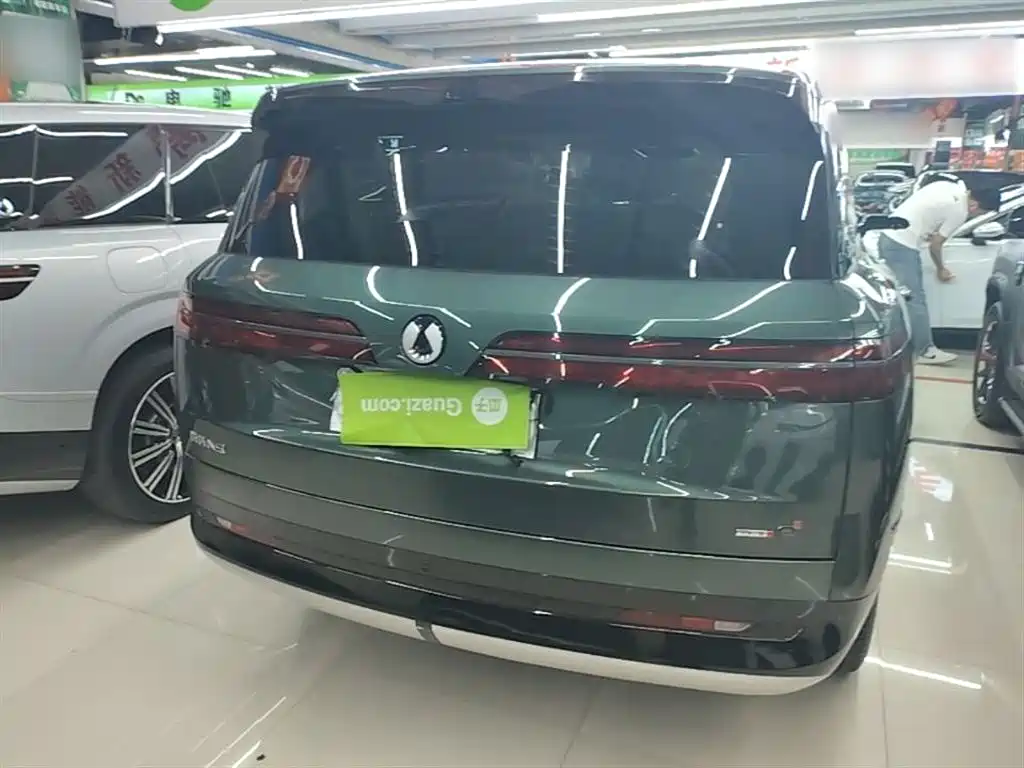 Denza N9 Flagship