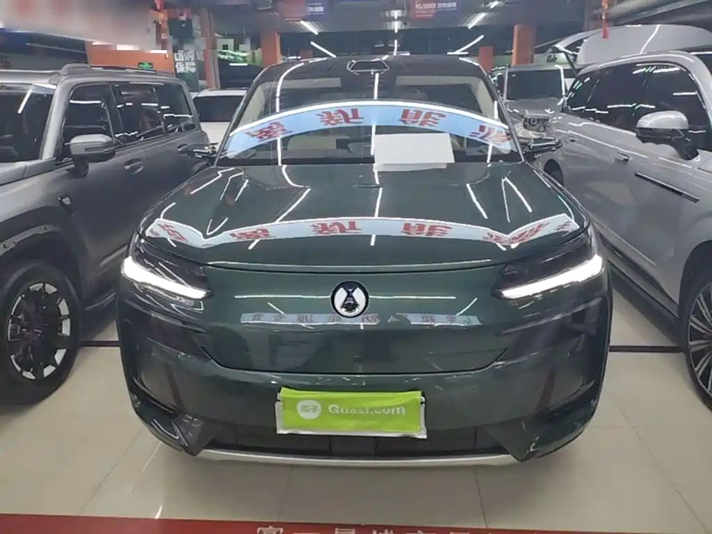 Denza N9 Flagship