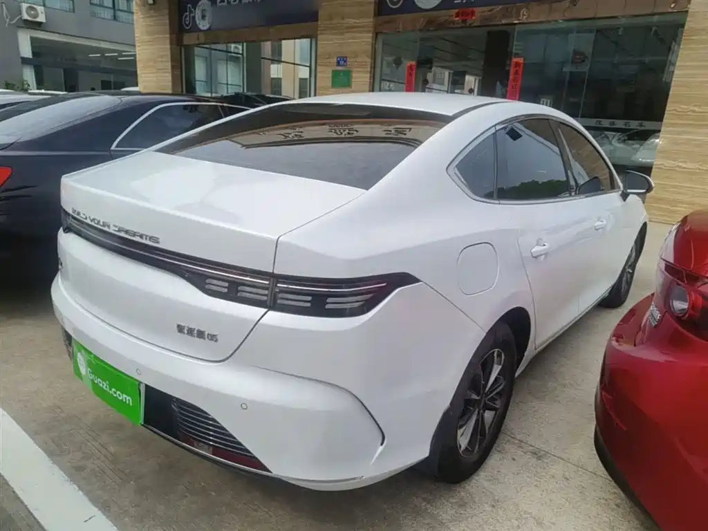 Destroyer 05 Champion DM-i 55 KM Luxury