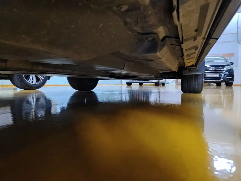 Wildlander 2.0 L CVT 2 WD Luxury