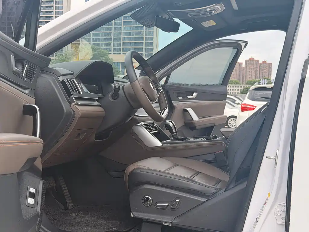 Tang 2.0 T Auto Flagship
