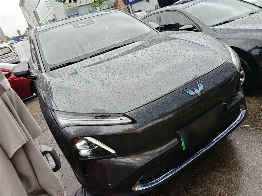 Wuling Starlight S 130 km Flagship
