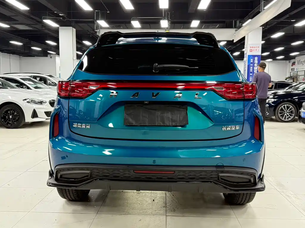 Haval Chitu Power Enjoyment 1.5 T Bronze Rabbit