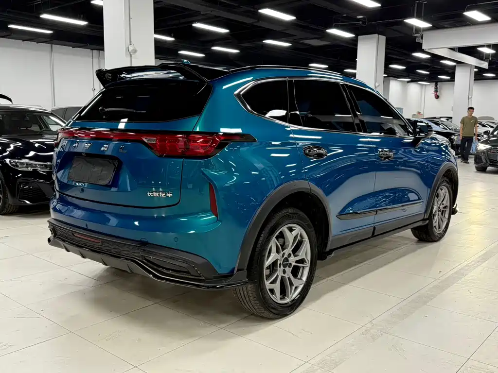 Haval Chitu Power Enjoyment 1.5 T Bronze Rabbit