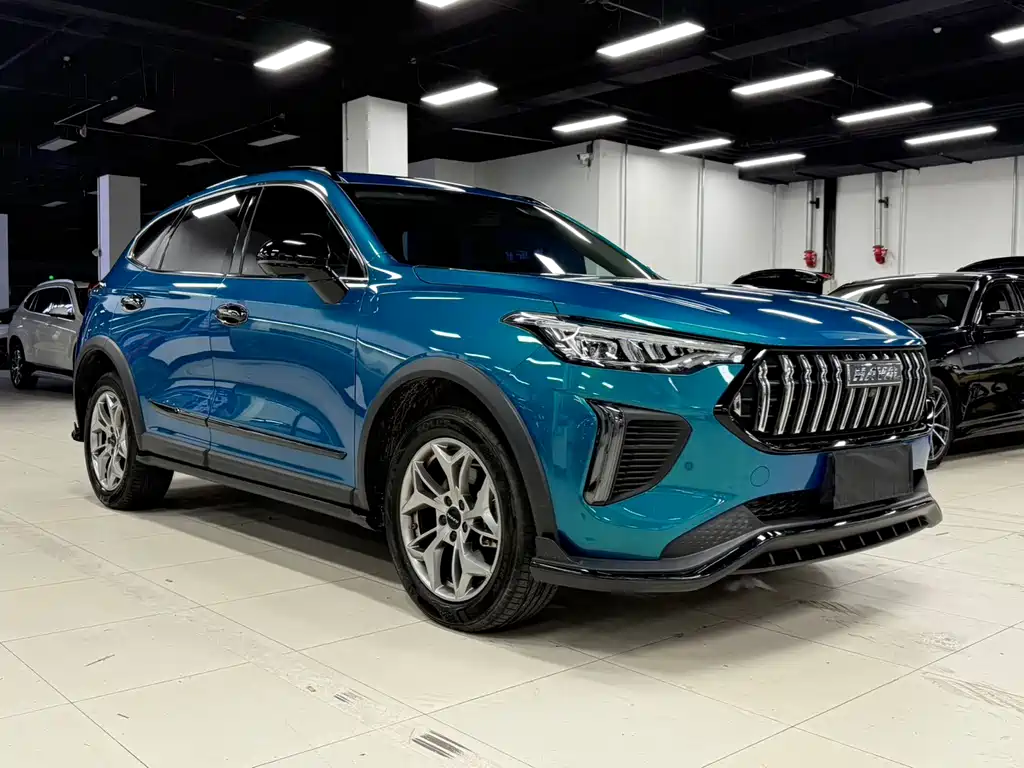 Haval Chitu Power Enjoyment 1.5 T Bronze Rabbit