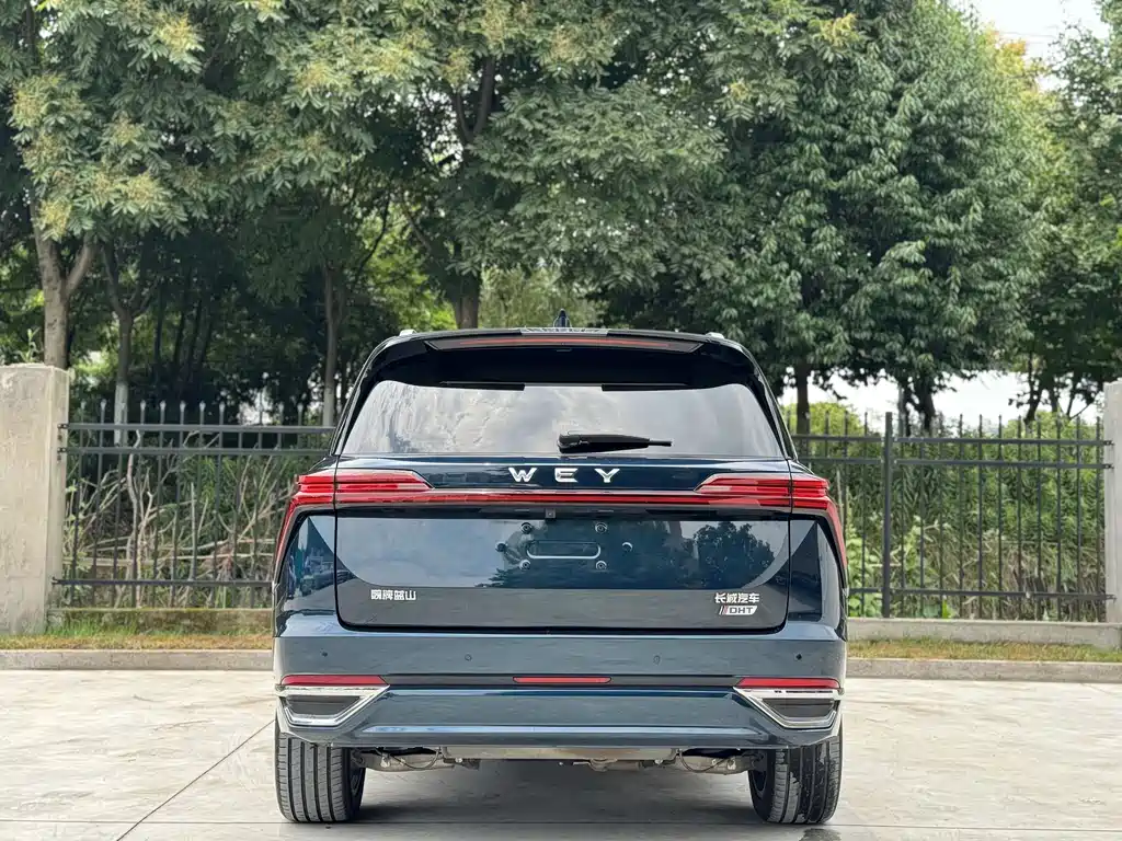 WEY Blue Mountain 4 WD Ultra Long Range