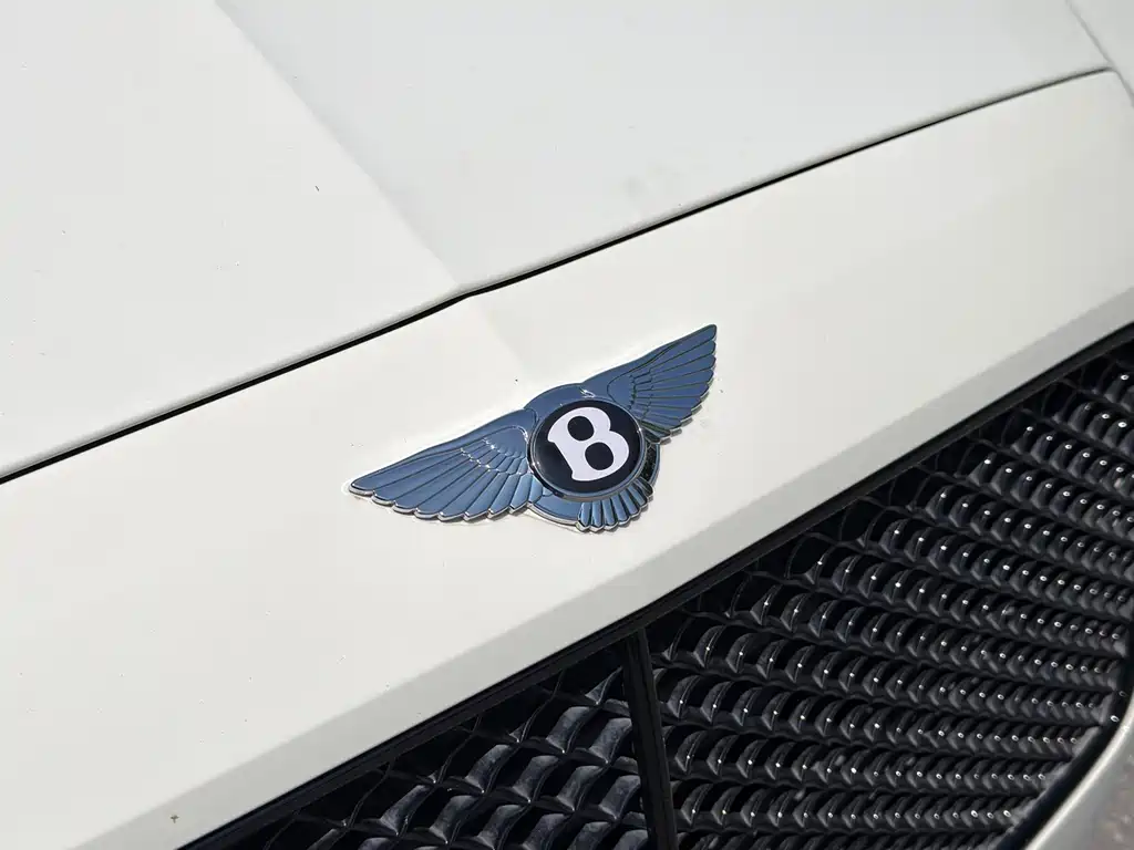 Flying Spur 4.0 T V8 S Standard