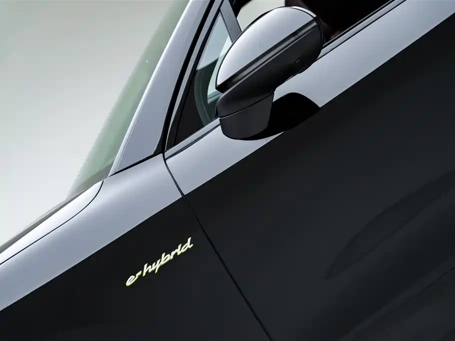 Cayenne NEV Cayenne E-Hybrid 2.0 T