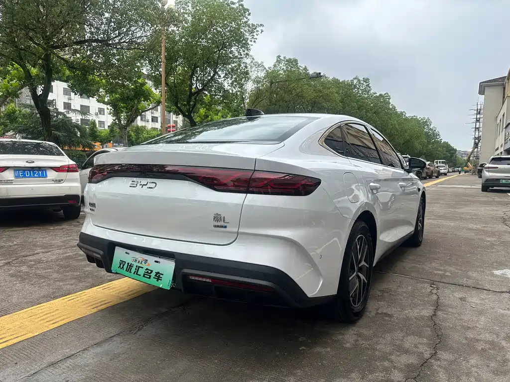 Qin L DM-i Smart Drive 120 KM Leading
