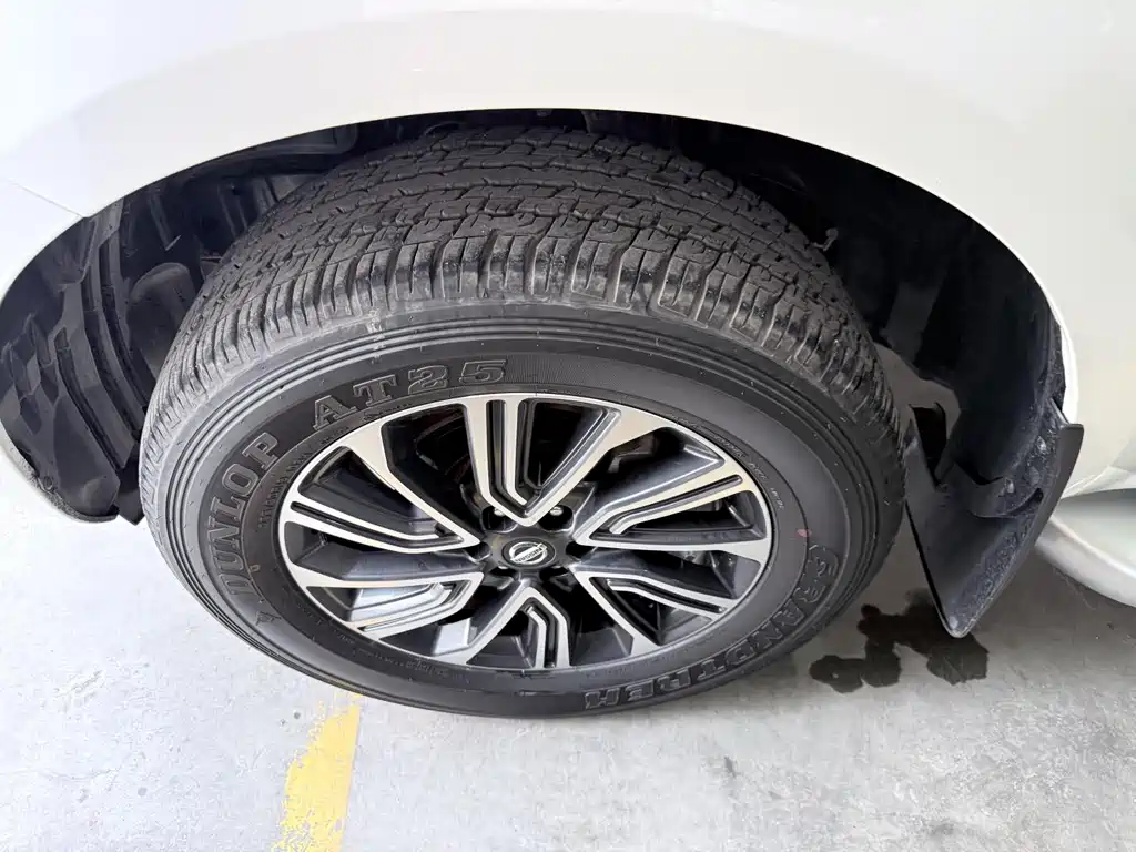 Terra 2.5 L XL Upper 4 WD Auto 4 WD Luxury