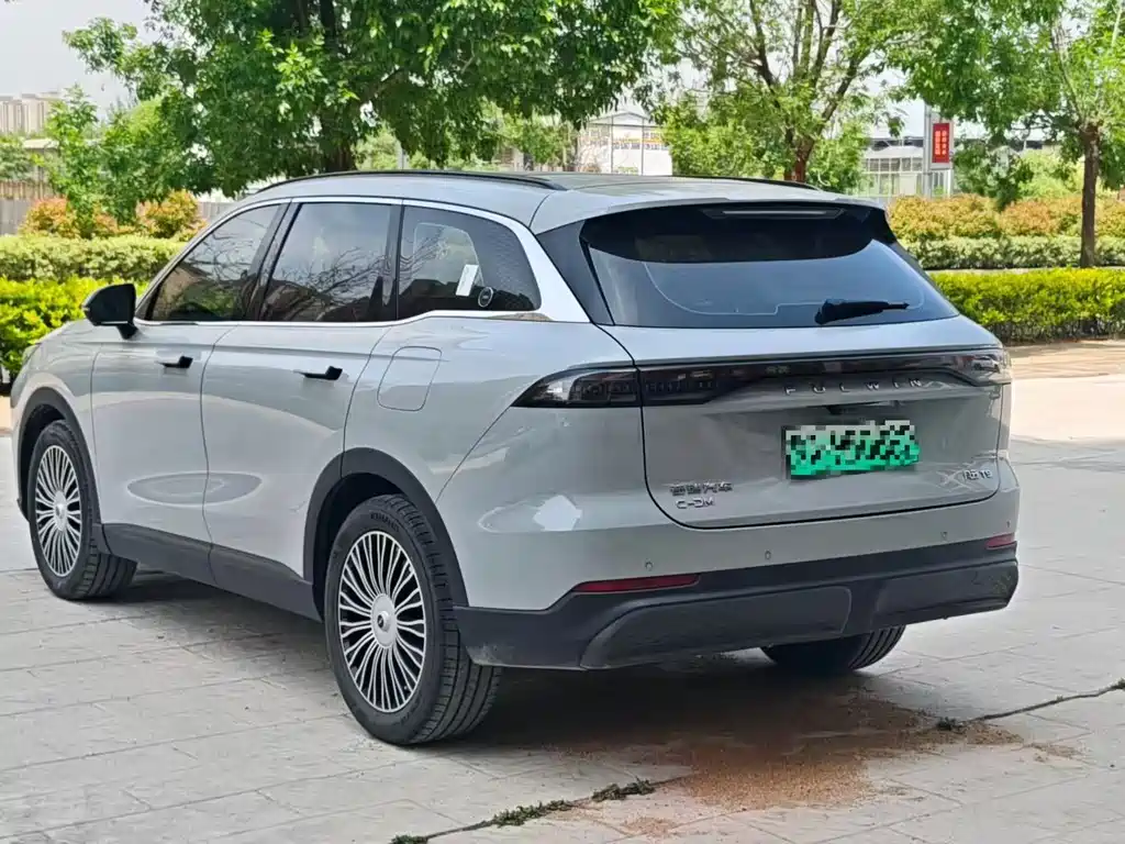 Fengyun T9 120 Long Range Comfort 5-seat Ternary Lithium
