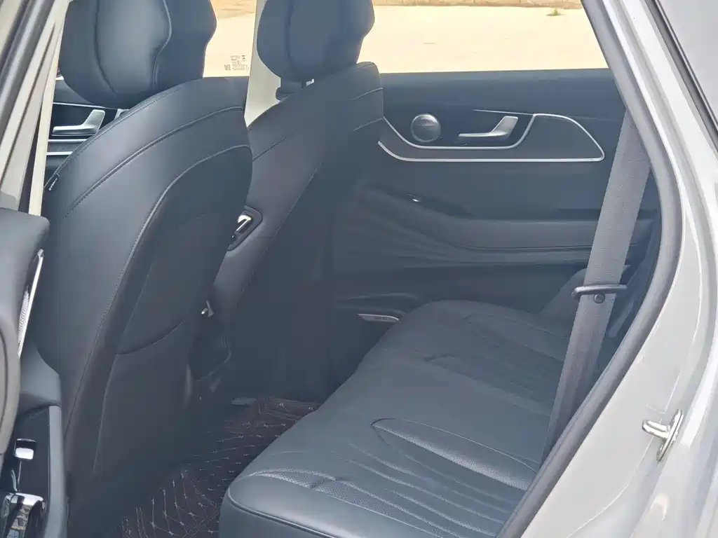 Fengyun T9 120 Long Range Comfort 5-seat Ternary Lithium