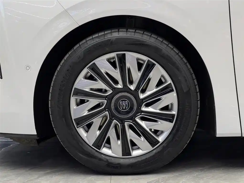 Buick Zhijing Shijia Luxury Enjoyment