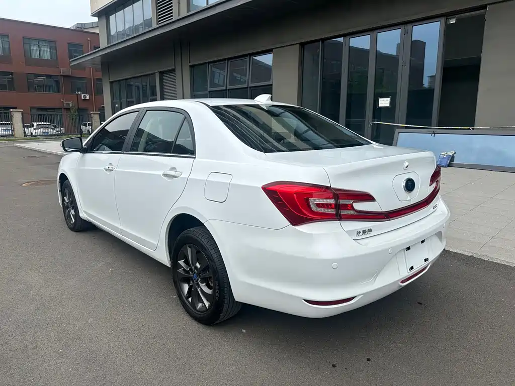 Qin NEV 1.5 T Distinguished