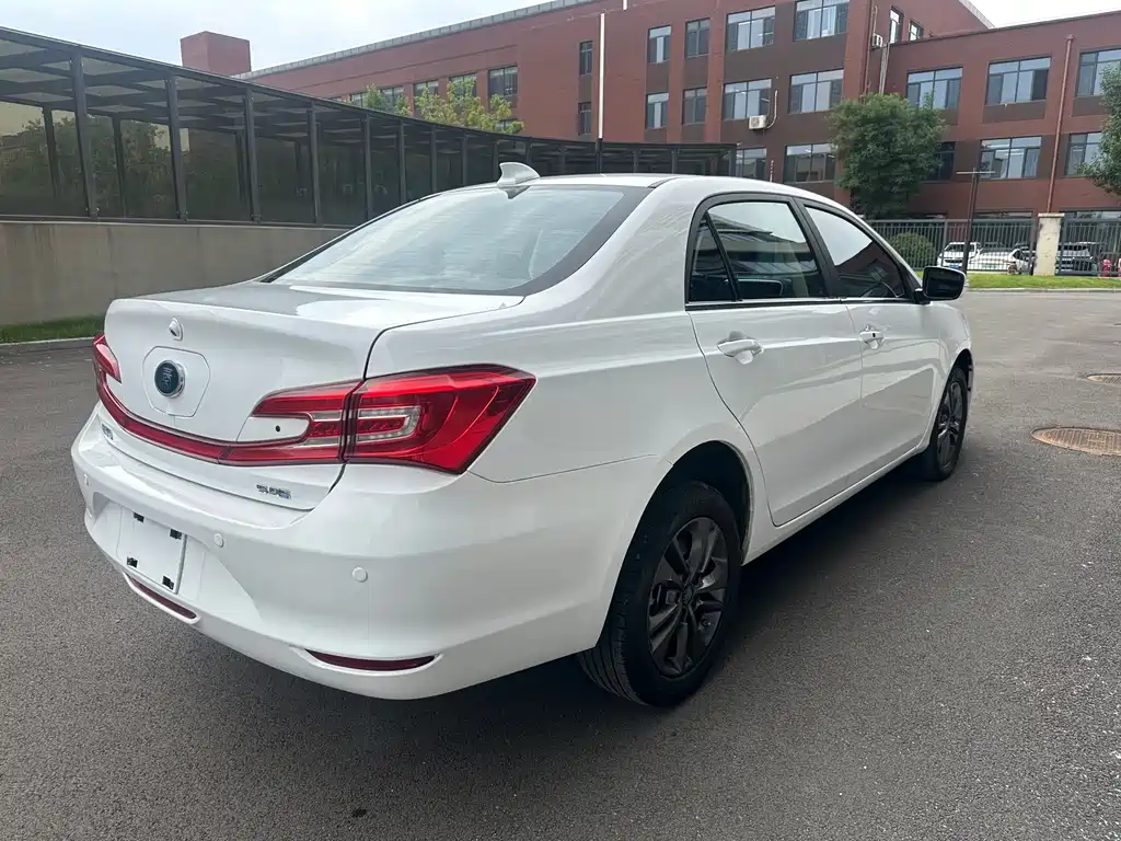Qin NEV 1.5 T Distinguished