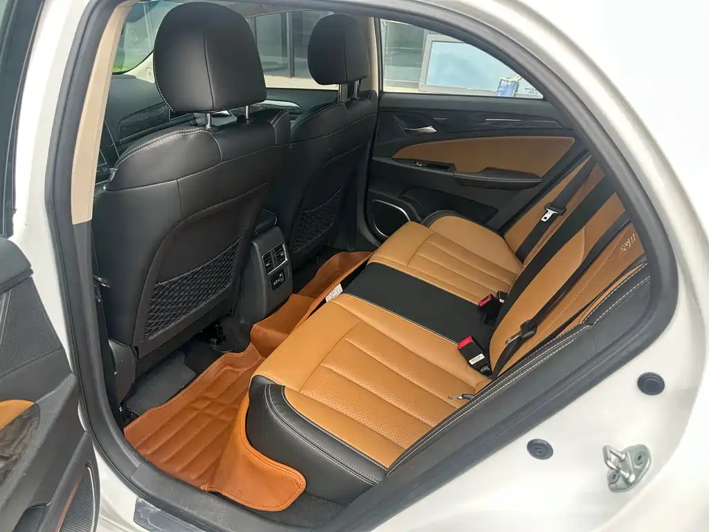 Qin NEV 1.5 T Distinguished