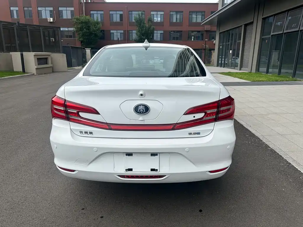 Qin NEV 1.5 T Distinguished