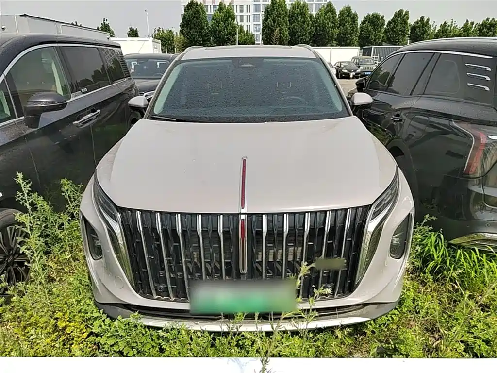 Hongqi HS7 PHEV 红旗HS7 PHEV 2024款 2.0 T PHEV 四驱旗领版 6座