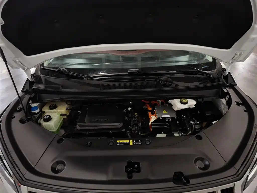 GAC Trumpchi E9 E9 Grandmaster