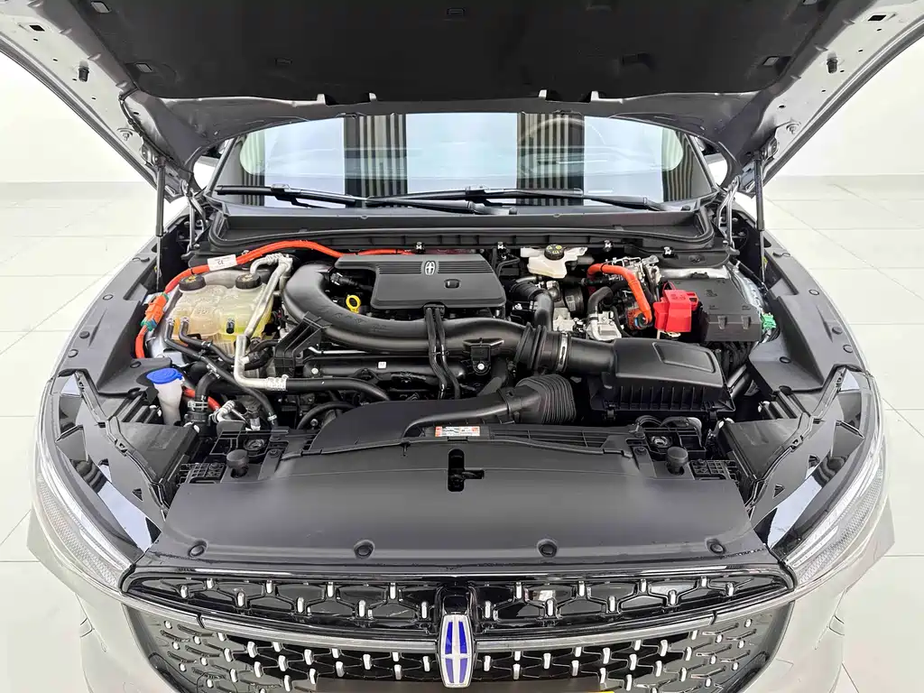 Lincoln Z 2.0 T 2 WD Comfort Supreme Hybrid
