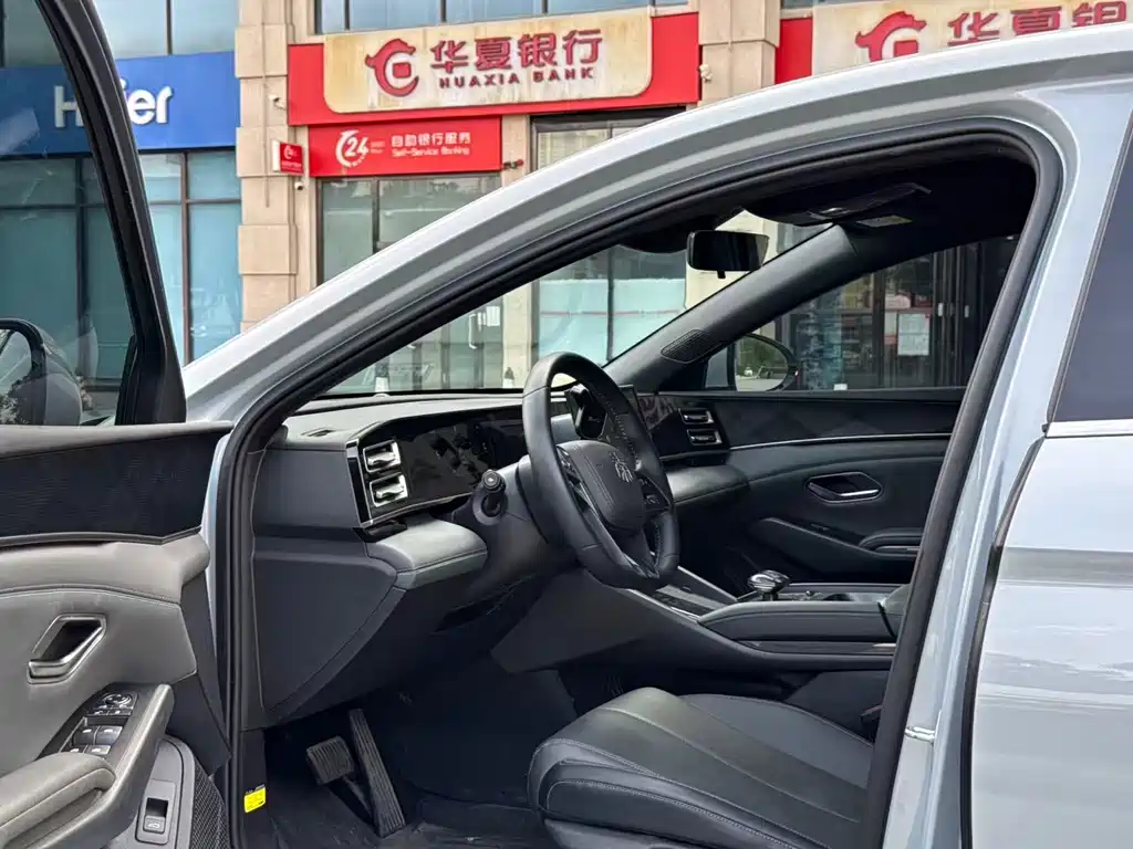 Qin L DM-i 80 KM Leading
