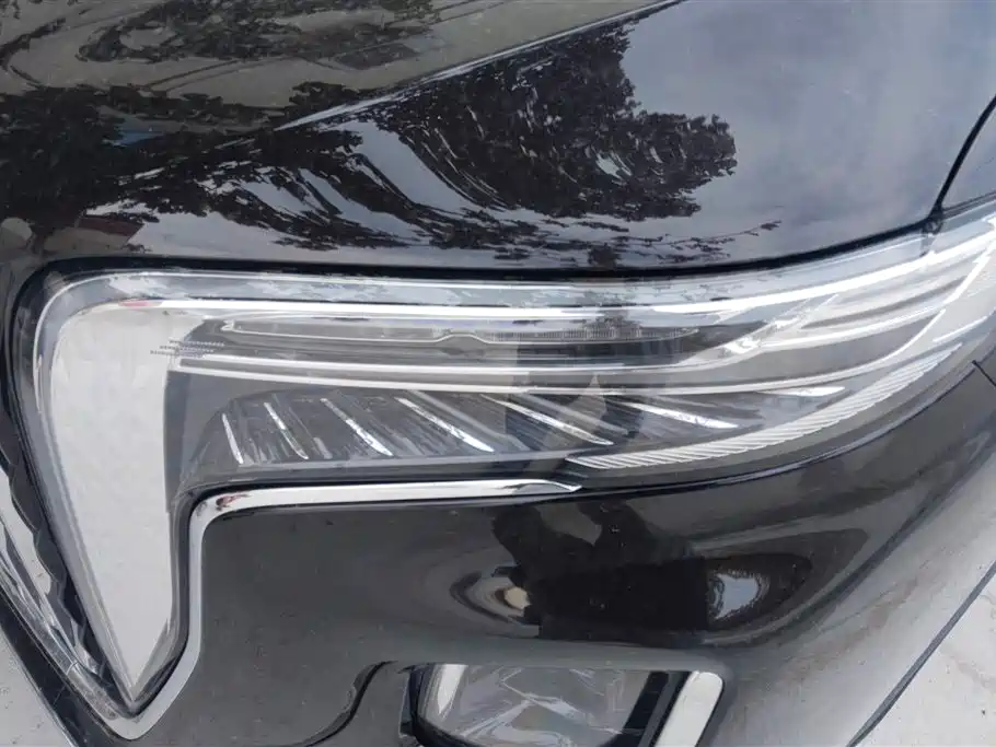 Hongqi HQ9 2.0 T Connected Flagship Charm