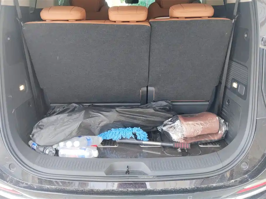 Hongqi HQ9 2.0 T Connected Flagship Charm