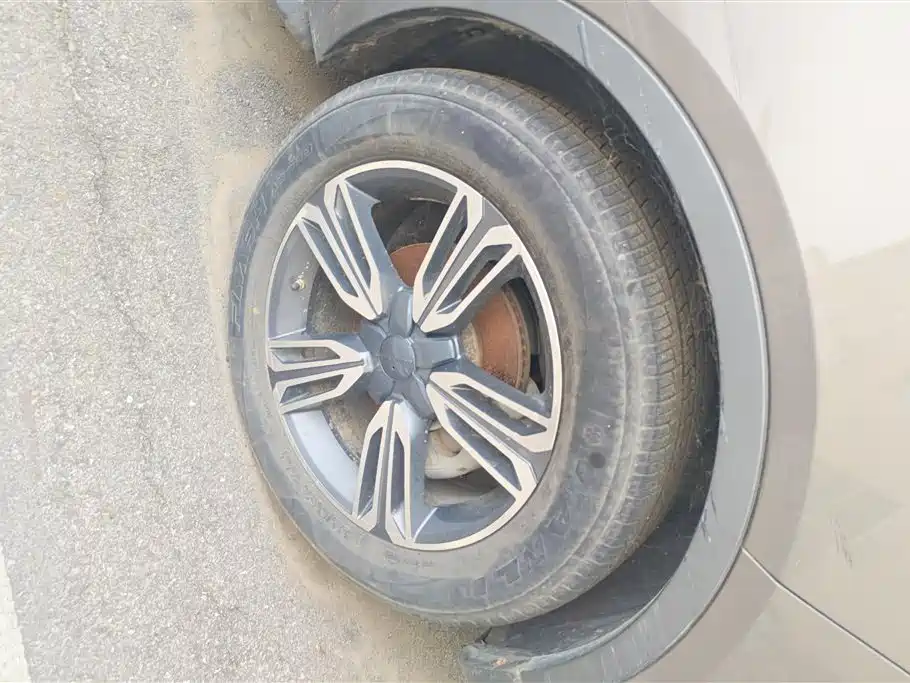 Leopaard CS10 2.0 T Auto Luxury