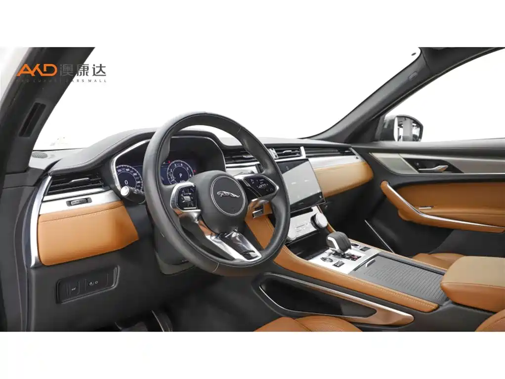 Jaguar F-PACE P250 R-Dynamic SE