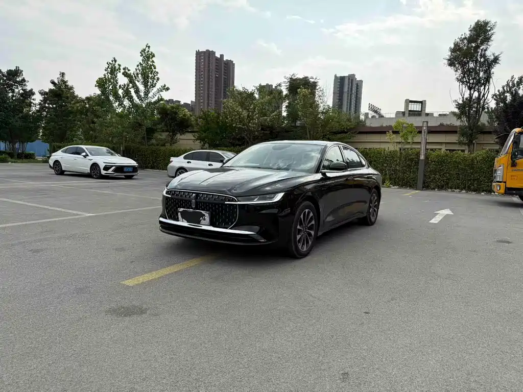 Lincoln Z 2.0 T Premium Joy