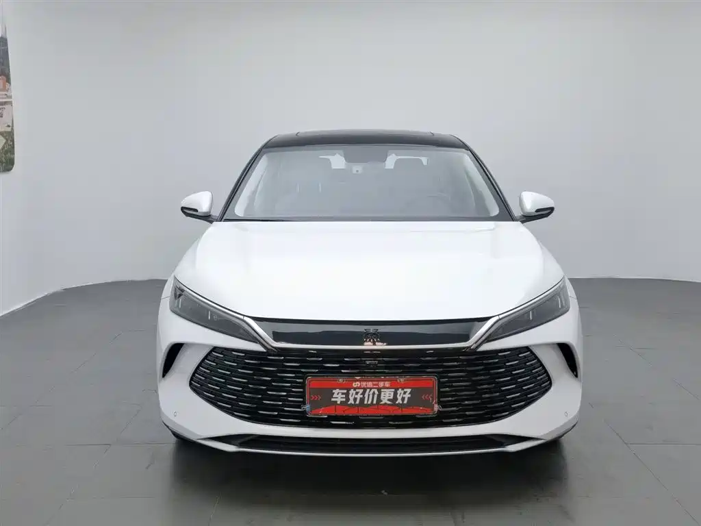 Qin L DM-i 120 KM Leading