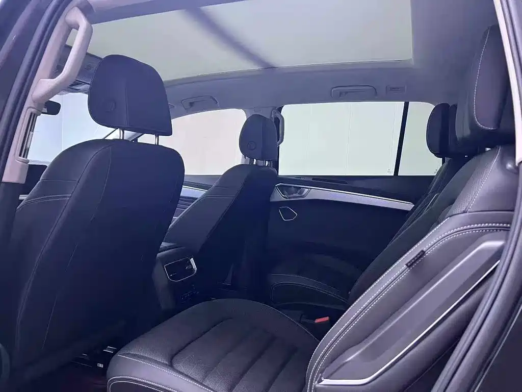 Talagon 380 TSI 4 WD Luxury Premium Realm Pro