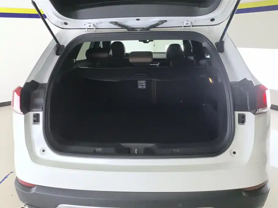 Haval H6 Blue Label 2.0 T Auto 2 WD Leading Style