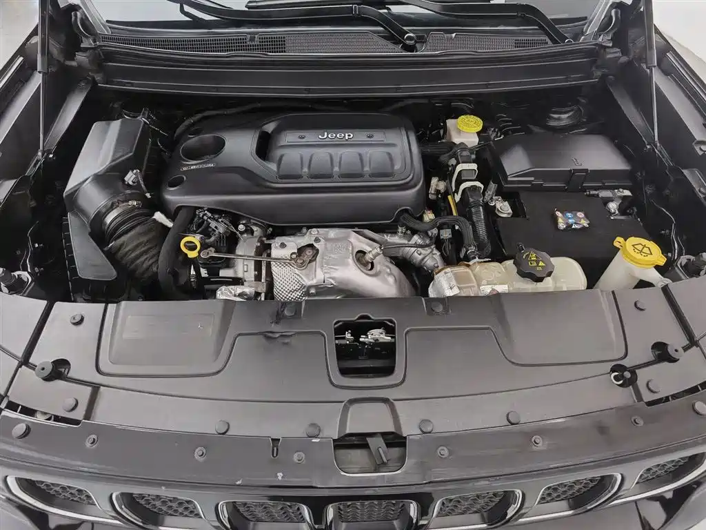 Commander 2.0 T 2 WD Progressive Enjoyment CN-V
