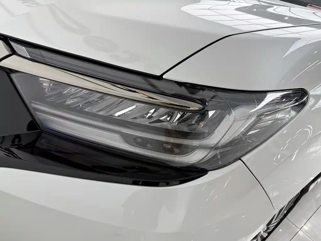 Elysion 2.0 L e:HEV Luxury Early Enjoyment