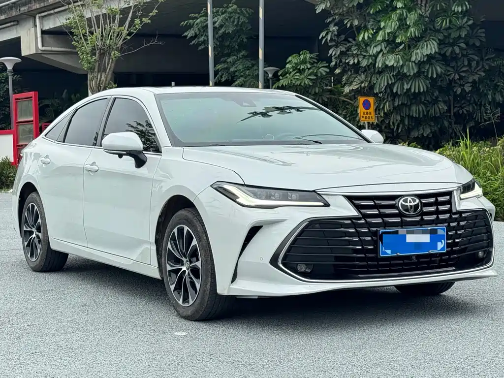 Avalon 2.0 L Progressive