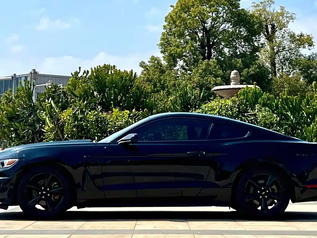 Mustang 2.3 T Sport