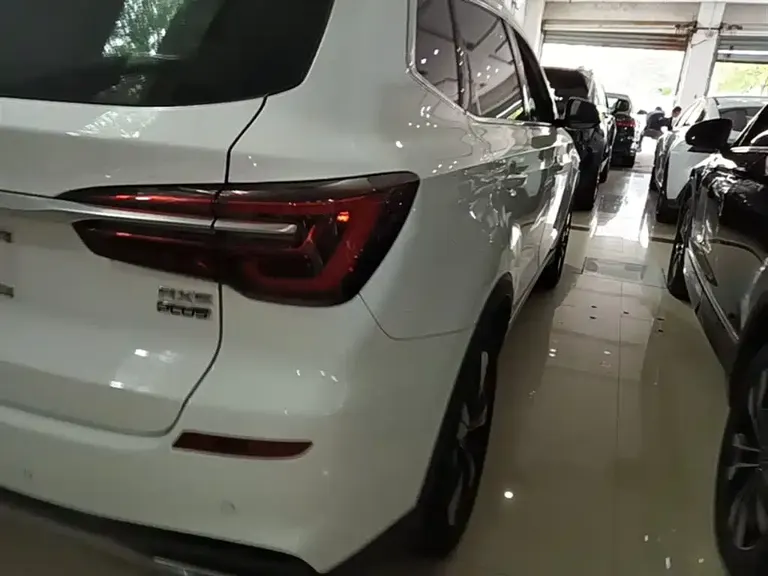 Roewe RX5 PLUS 300 TGI Auto Ali New Year Selected