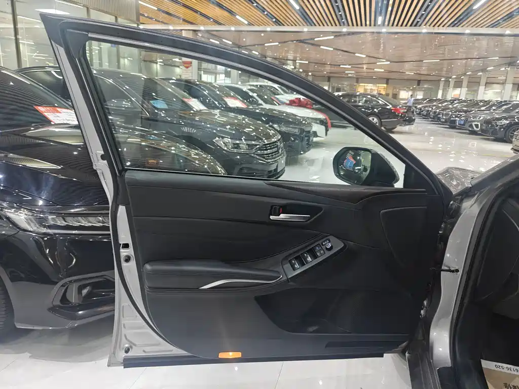 Avalon 2.0 L Luxury CN-VI