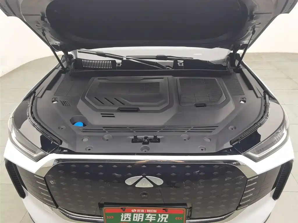 Fengyun T8 1.5 T 130 km Premium 5-seat