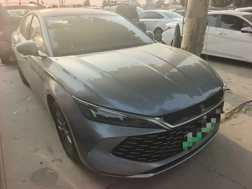 Qin L DM-i 120 KM Outstanding