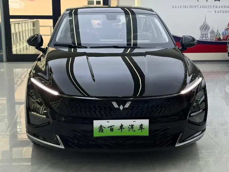 Wuling Starlight 70 km Intelligent Standard
