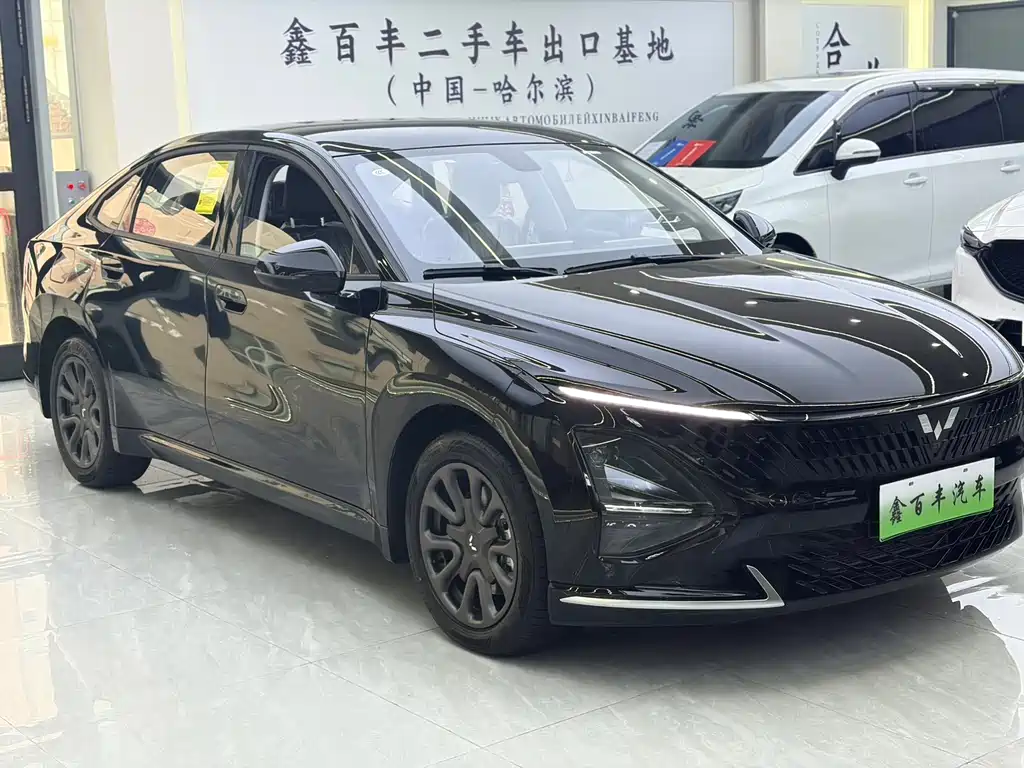 Wuling Starlight 70 km Intelligent Standard