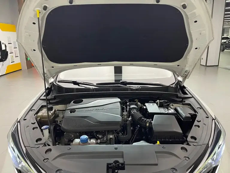 Changan Eado PLUS Blue Whale NE 1.4 T GDI DCT Distinguished