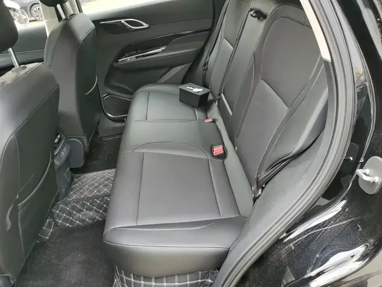 Hongqi HS3 PHEV 117 km Power Action